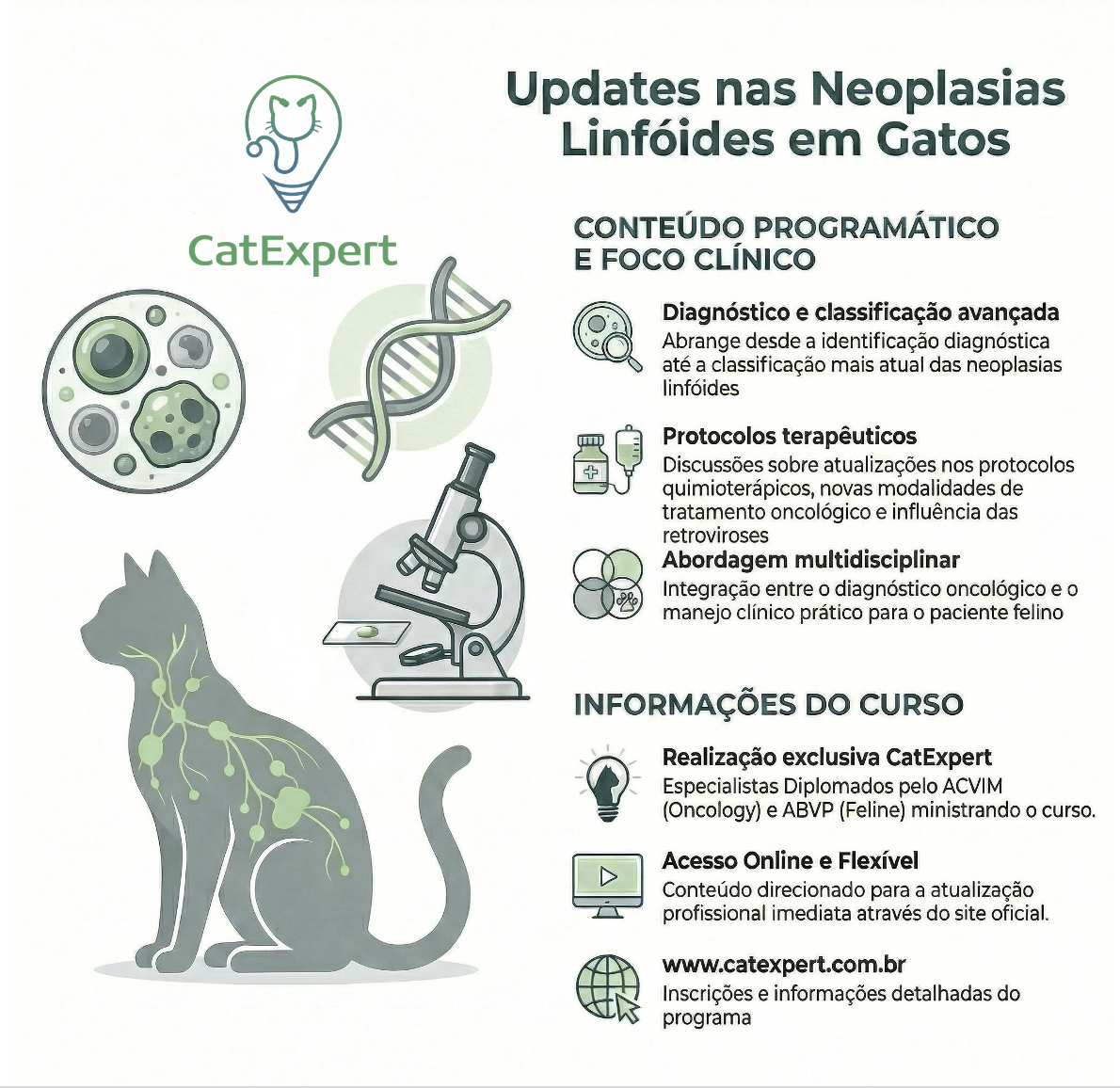 CatExpert neoplasias linfóides